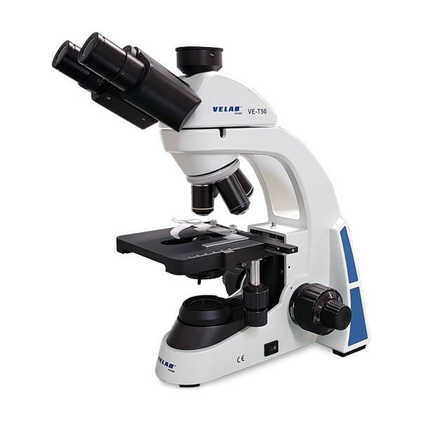 Trinocular Microscope
